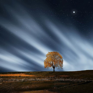暴躁妹妹免费观看40集电视剧
